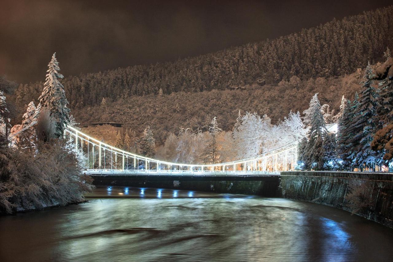 Paata'S Guesthouse Borjomi Dış mekan fotoğraf